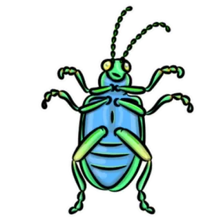 🤷‍♂️ inseto, inseto, besouro, verde, azul, natureza telegram sticker
