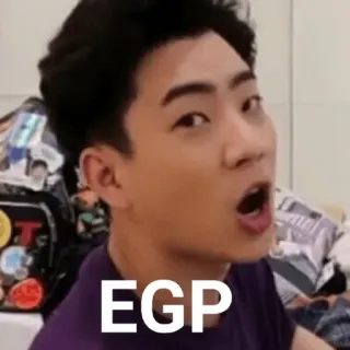 🙏 EGP telegram sticker