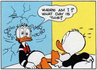 😵 Donald Duck WHERE AM I?
WHAT DAY IS THIS? Cartone animato, Paperino, Disorientato, Fumetto, Inquirente whatsapp sticker