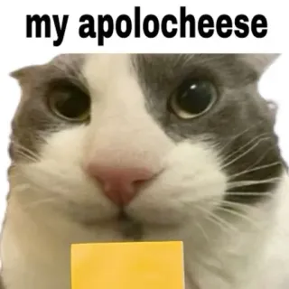 🌟 my apolocheese telegram sticker