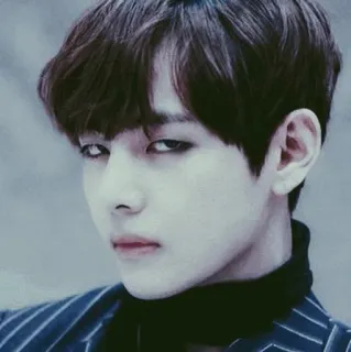 🥢 mężczyzna, portret, kpop, przystojny, męski, osoba telegram sticker