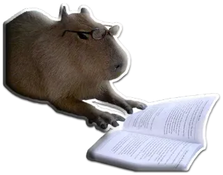 📖 kapibara, okulary, książka, czytanie, zwierzę, gryzoń telegram sticker