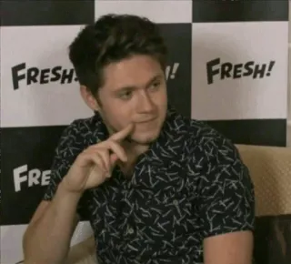 💫 Niall Horan 나일 호란, 원 디렉션, 가수, 유명인, 음악가, 인터뷰 telegram sticker