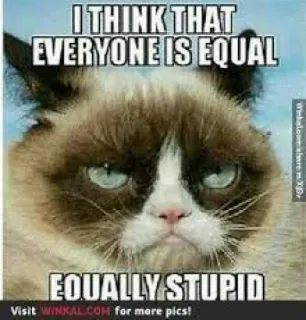 ⚖ Grumpy Cat I THINK THAT EVERYONE IS EQUAL EQUALLY STUPID 不爽猫, 表情包, 平等, 蠢, 猫, 幽默 whatsapp sticker