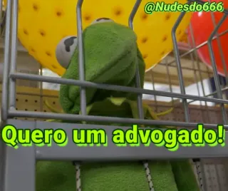 👨‍⚖ Kermit Quero um advogado! Kermit the Frog, Muppets, lawyer, funny, meme, parody, advogado telegram sticker