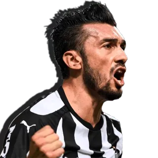 Galo telegram stickers