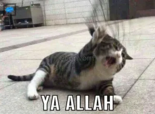 😣 YA ALLAH telegram sticker