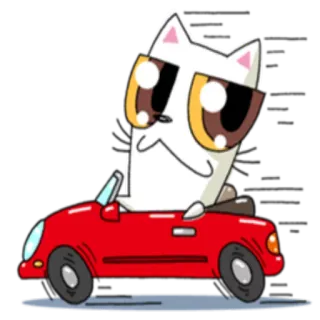 🚘 kot, samochód, jazda, kreskówka, zwierzę, słodki, zabawa whatsapp sticker