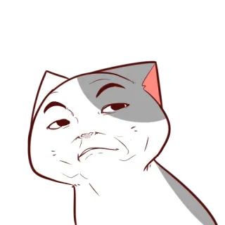 😕 gato, meme, engraçado, animal, expressão, sorriso irônico telegram sticker