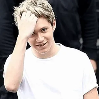 🌙 Niall Horan Sänger, Musiker, Promi, Popstar, One Direction, Männlich telegram sticker