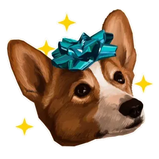 🐶 corgi, chó, chó con, động vật, thú cưng, dễ thương, nơ, lấp lánh telegram sticker