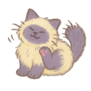 🐈‍⬛ chat, chaton, griffures, mignon, animal whatsapp sticker