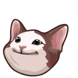🙂 cat, meme, animal, funny, cute telegram sticker