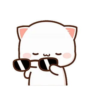😎 猫, 太阳镜, 可爱, 动物, 卡通 whatsapp sticker