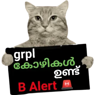 😂 grpl
കോഴികള് ഉണ്ട്
B Alert kat, alert, bord, waarschuwing telegram sticker
