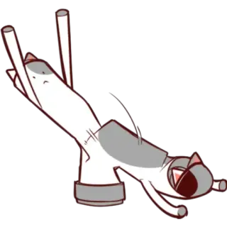 🙇 mèo, dễ thương, hài hước, động vật, nhãn dán telegram sticker