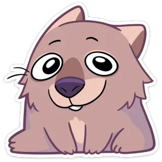 😏 wombat, animal, fofo, desenho animado, adesivo telegram sticker