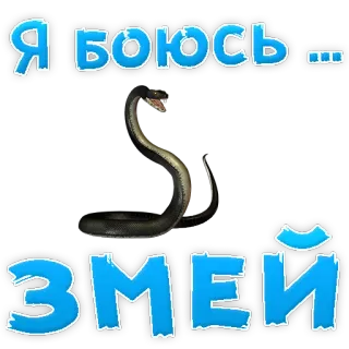 😢 Я боюсь змей slang, angst, reptiel, dier, eng, fobie whatsapp sticker