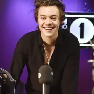 🌿 Harry Styles célébrité, musicien, chanteur, Harry Styles telegram sticker