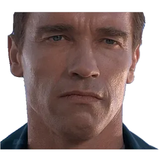 😏 Arnold Schwarzenegger นักแสดง, ใบหน้า, ภาพเหมือน, สีหน้า, เคร่งขรึม telegram sticker