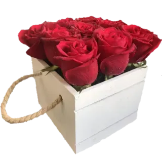 🌹 rote Rosen, Blumen, Blumenmuster, Rosen, Blumenstrauß, weiße Schachtel telegram sticker