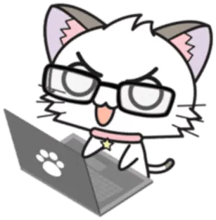 💻 cat, glasses, laptop, animal, computer, cartoon, cute whatsapp sticker
