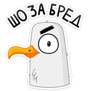 🤨 ШОЗАБРЕД seagull, bird, cartoon, animal, funny, eye, beak, sticker telegram sticker