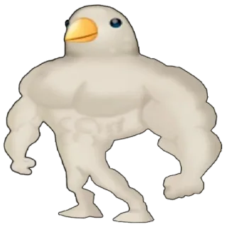 🐦 bird, muscular, buff, strong, animal, meme, funny telegram sticker