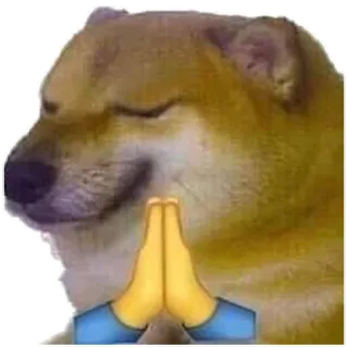 🙏 doge, preghiera, cane, meme telegram sticker