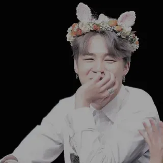🍩 Jimin 朴智旻, 防弹少年团, K-pop, 歌手, 艺术家, 花环, 兔耳朵 telegram sticker