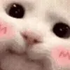 😊