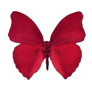 ❤ butterfly, red, insect, nature, wings telegram sticker