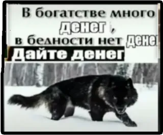 🐾 В богатстве много денег, в бедности нет денег! Дайте денег! Geld, Wolf, Schnee, Reichtum, Armut telegram sticker