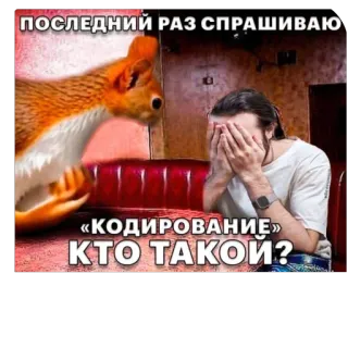 🫥 ПОСЛЕДНИЙ РАЗ СПРАШИВАЮ «КОДИРОВАНИЕ» КТО ТАКОЙ? telegram sticker