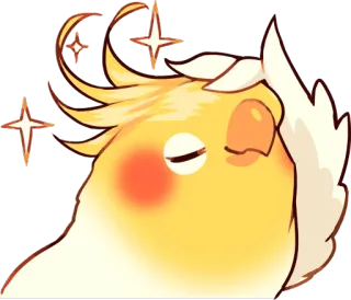 ✨ 鳥, オカメインコ, 目が回る, かわいい, 動物, ステッカー, 漫画 telegram sticker
