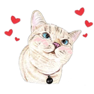 ❤ ND 고양이, 하트, 동물, 귀여운, 스티커 telegram sticker
