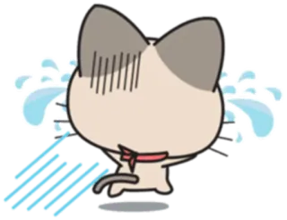 😢 cat, crying, sad, tears, emotional, cartoon, sticker whatsapp sticker