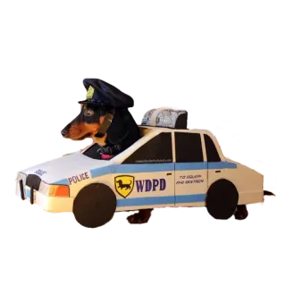 🚔 POLICE
WDPD
TO SERVE AND PROTECT dog, police car, officer, wdpd, serve, protect whatsapp sticker