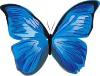 🐝 butterfly, blue, insect, nature, wings, beautiful whatsapp sticker