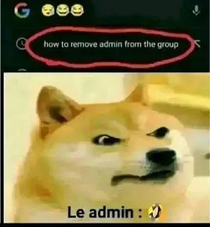 🫥 Doge how to remove admin from the group Le admin : doge, meme, admin, group chat, funny, internet culture telegram sticker