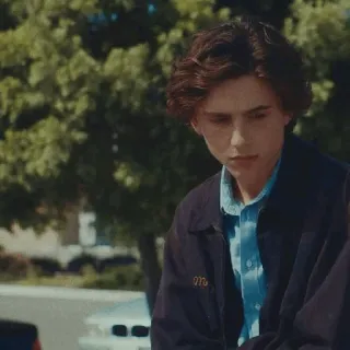 📯 Timothée Chalamet acteur, portrait, jeune homme, célébrité, homme telegram sticker