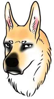 😑 anjing, hewan, peliharaan, meme, ilustrasi, potret telegram sticker