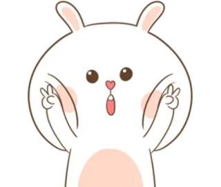 🐽 coelho, coelhinho, fofo, animal, desenho animado telegram sticker