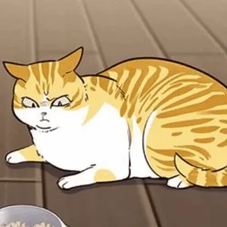 🐈 mèo, mèo mướp cam, động vật, thú cưng, mèo nhà telegram sticker