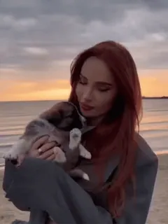 🍓 donna, cucciolo, spiaggia, tramonto, capelli rossi, cane, animale domestico, animale telegram sticker