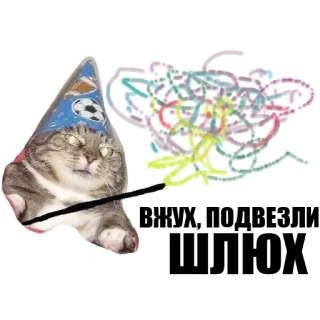 ✨ telegram sticker
