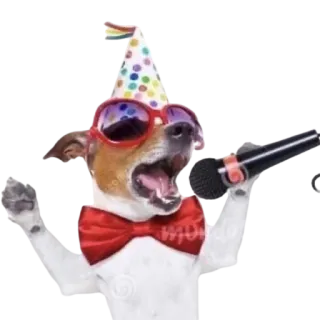🎤 WDY собака, микрофон, пение, вечеринка, праздник, бабочка, солнцезащитные очки telegram sticker