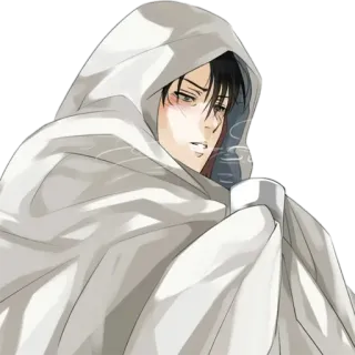 🥶 Levi Ackerman Attack on Titan anime, character, Levi, Attack on Titan, manga telegram sticker