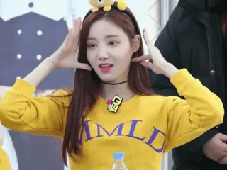 🥂 LMLD k-pop, azjatycka, kobieta, żółty sweter, urocza, dziewczyna whatsapp sticker