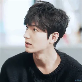 😐 Lee Min Ho Attore, Coreano, Celebrità, Maschio, Bello, Asiatico telegram sticker